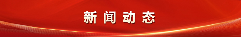 公益动态