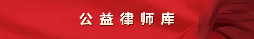 公益律师团队